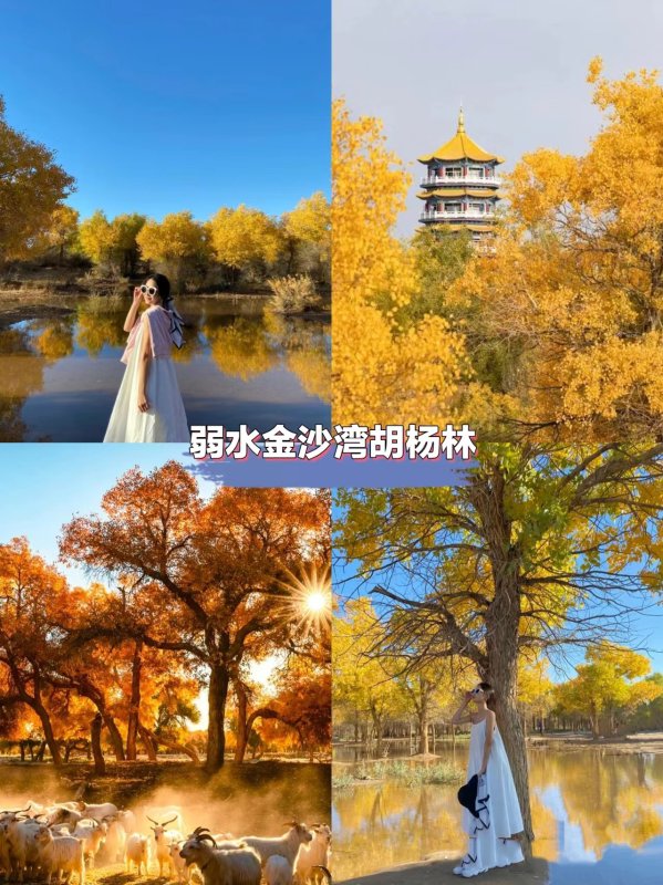 这个假期想去内蒙古的大草原、沙漠游玩行程路线要怎样安Kaiyun 开云排？想去体验下大草(图3)