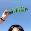 Kaiyun 开云体育近期想带朋友去北京玩几天哪些景点必去？怎么玩性价比最高？(图4)
